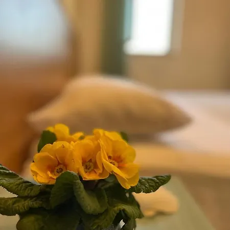 Valente Hotel 3*