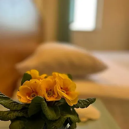 Hotel Valente Ortona